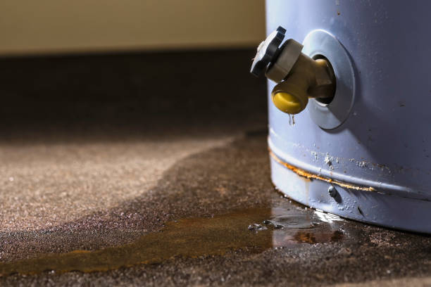Best Emergency water damage restoration  in Ponderosa Pine, NM