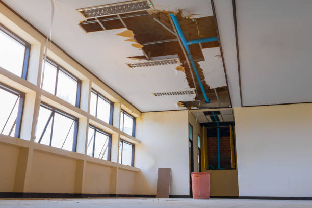Best Water damage restoration insurance claims  in Ponderosa Pine, NM