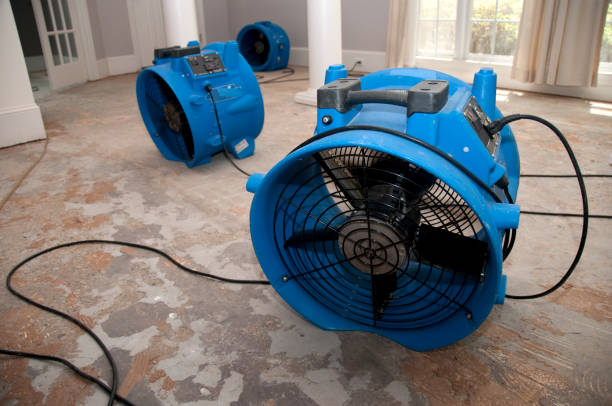 Best Carpet water damage restoration  in Ponderosa Pine, NM