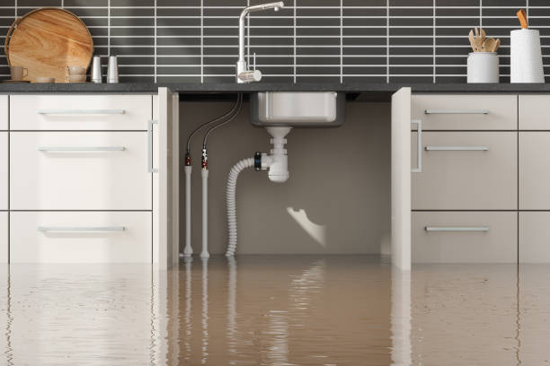 Best Commercial water damage restoration  in Ponderosa Pine, NM